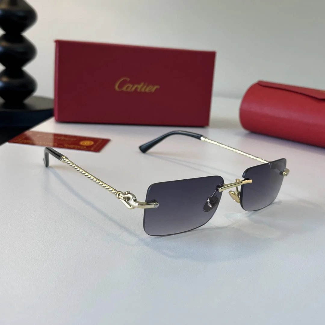 LitBuys Sunglasses