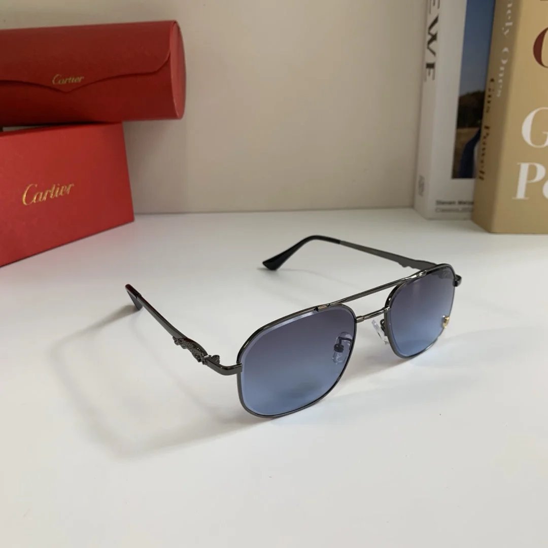 LitBuys Sunglasses