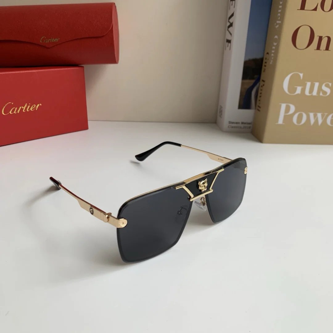 LitBuys Sunglasses