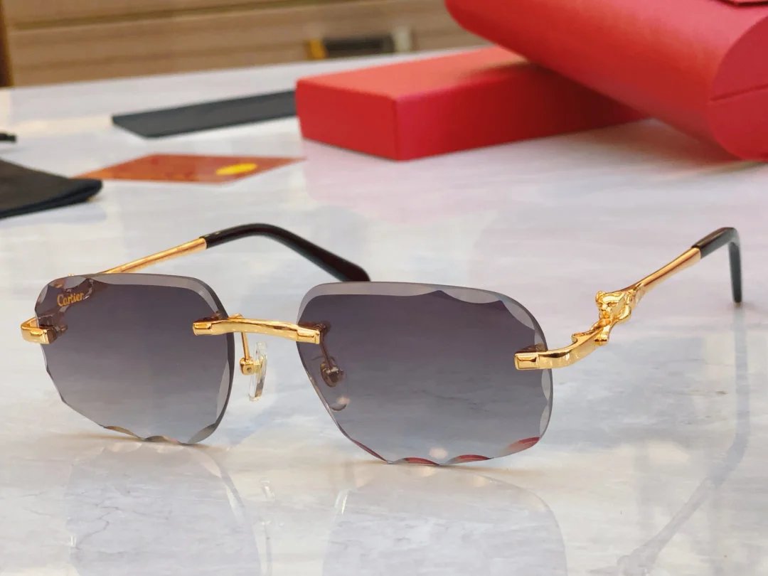 LitBuys Sunglasses