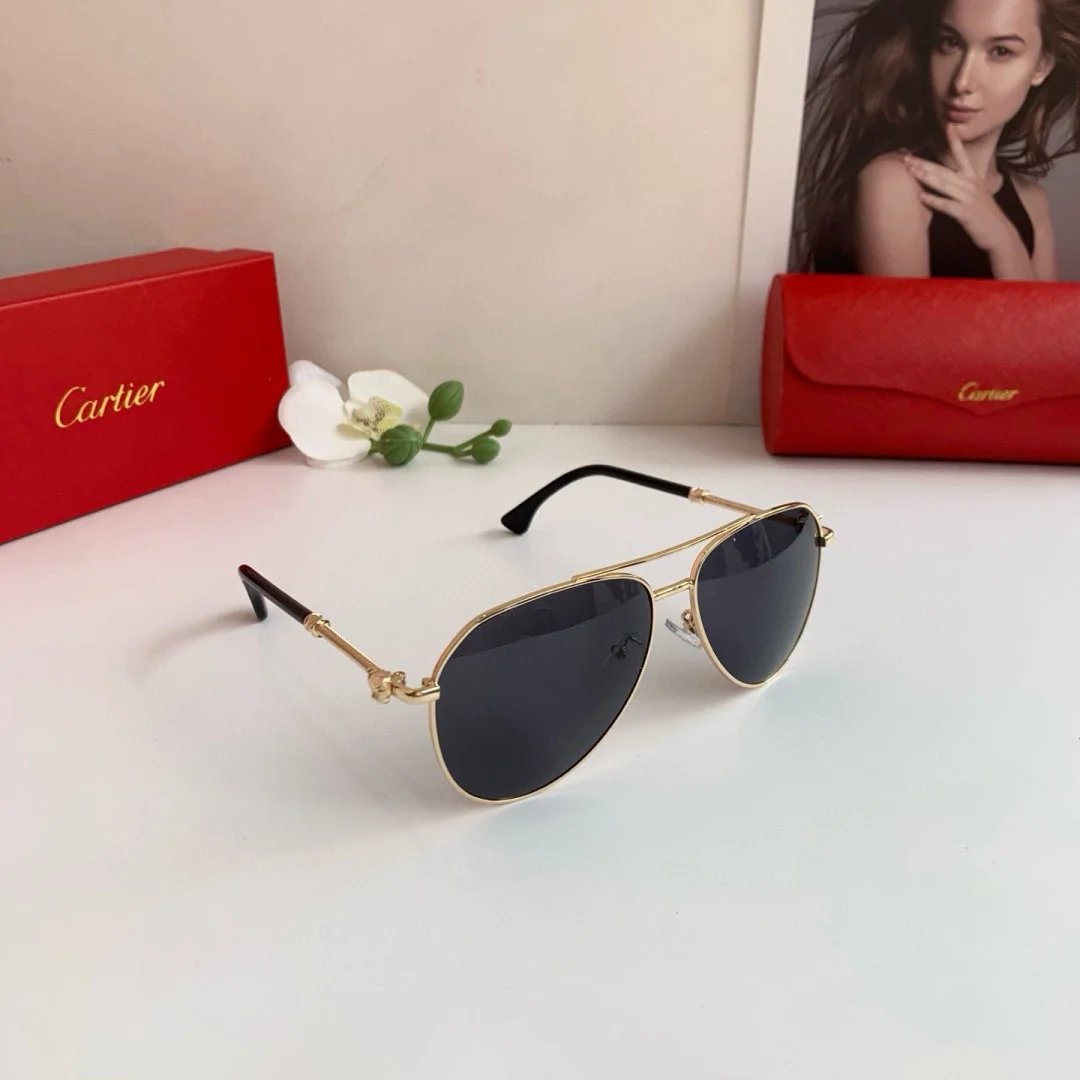 LitBuys Sunglasses