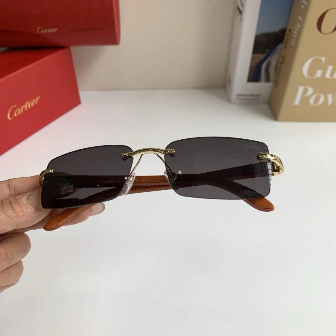 LitBuys Sunglasses