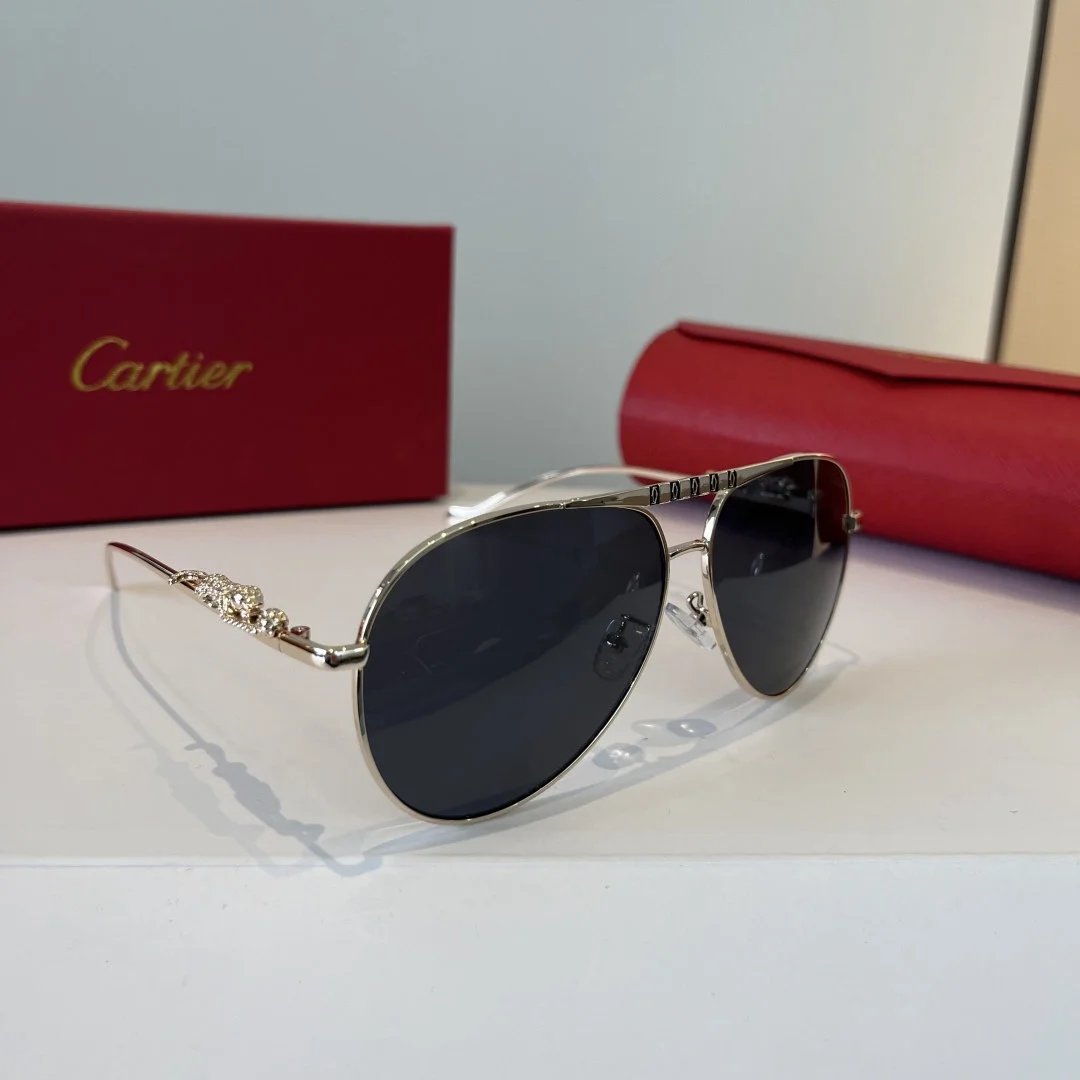 LitBuys Sunglasses