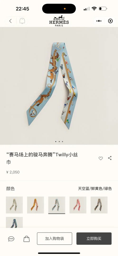 LitBuys Scarves