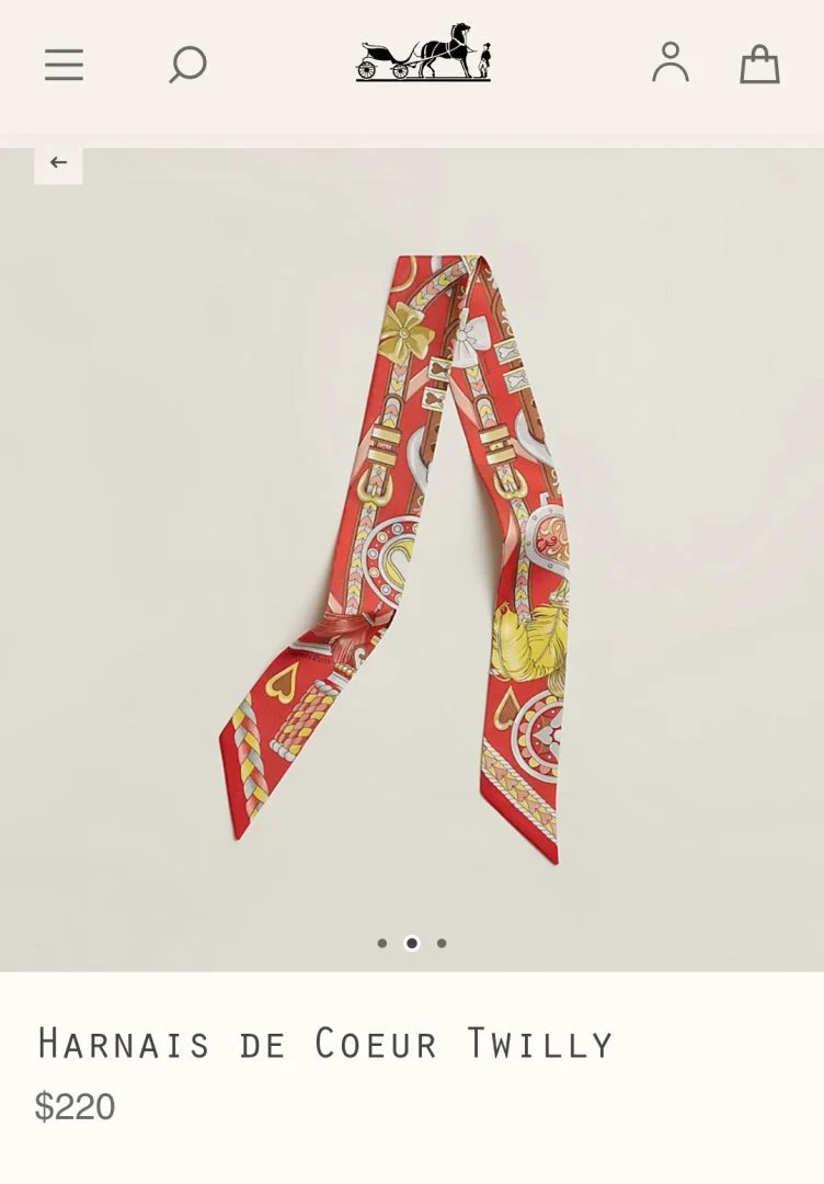 LitBuys Scarves