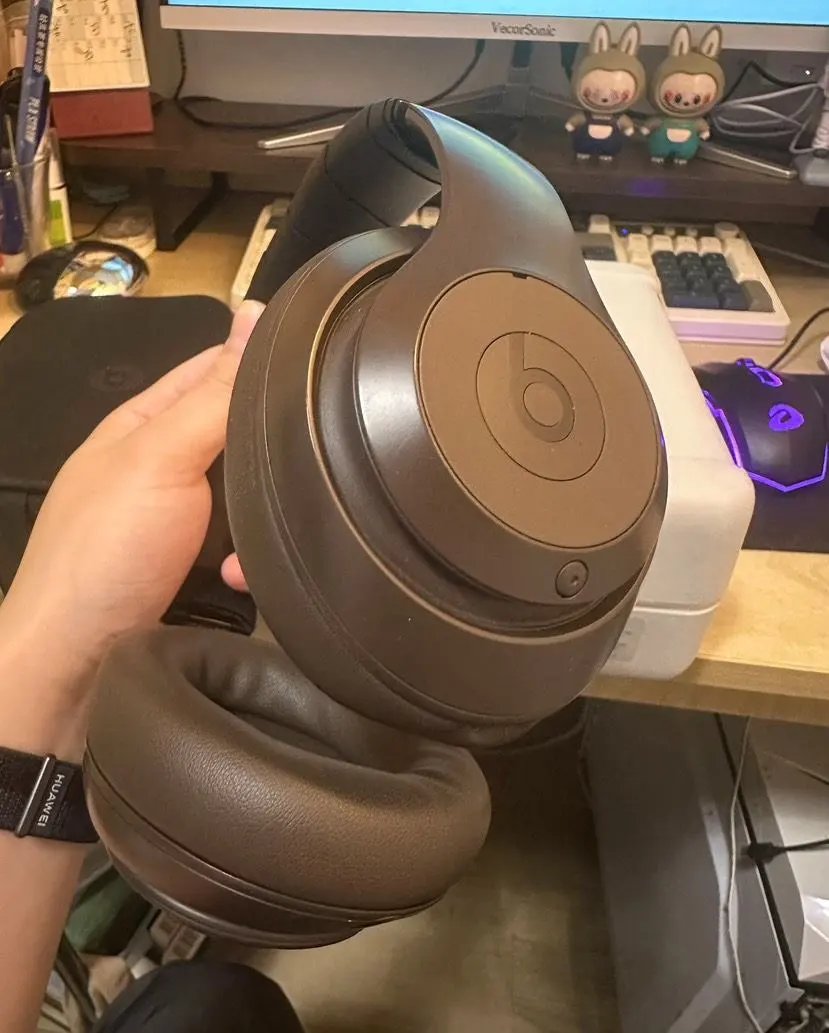 LitBuys Headphones