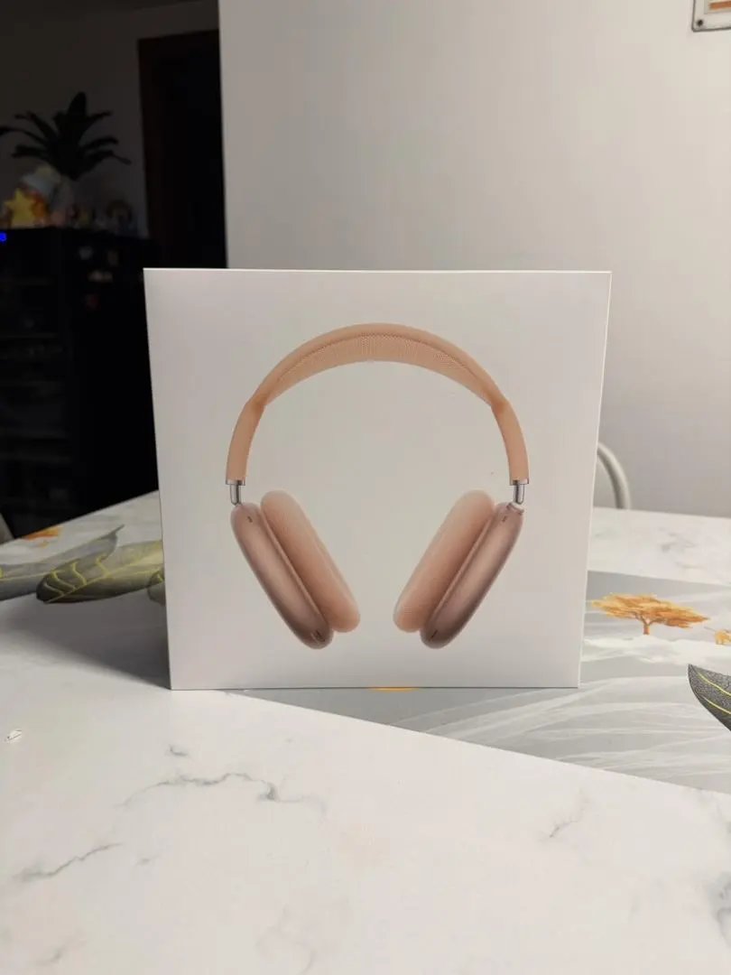 LitBuys Headphones