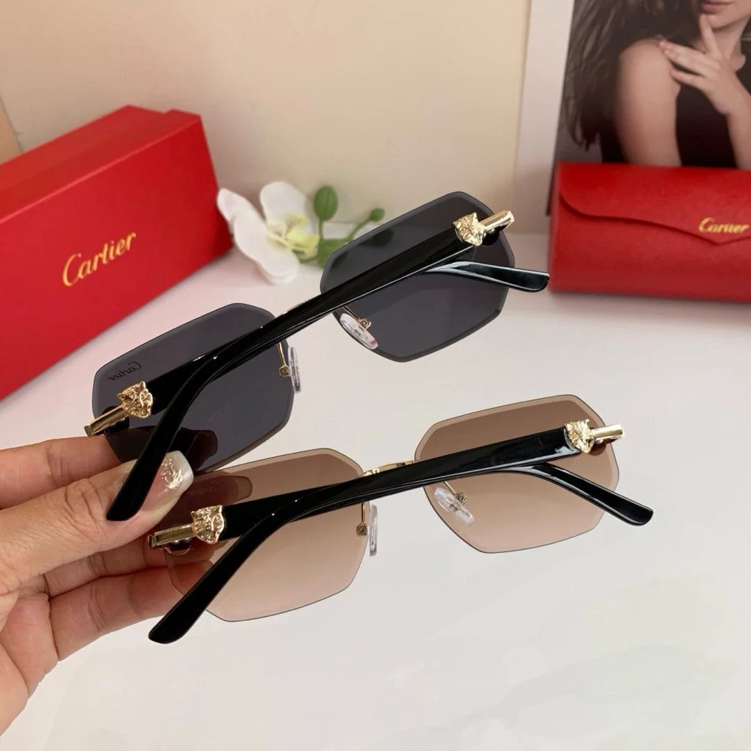 LitBuys Sunglasses