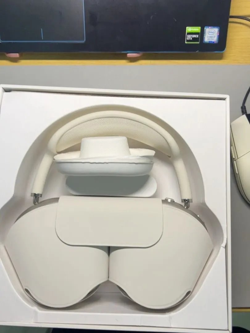 LitBuys Headphones