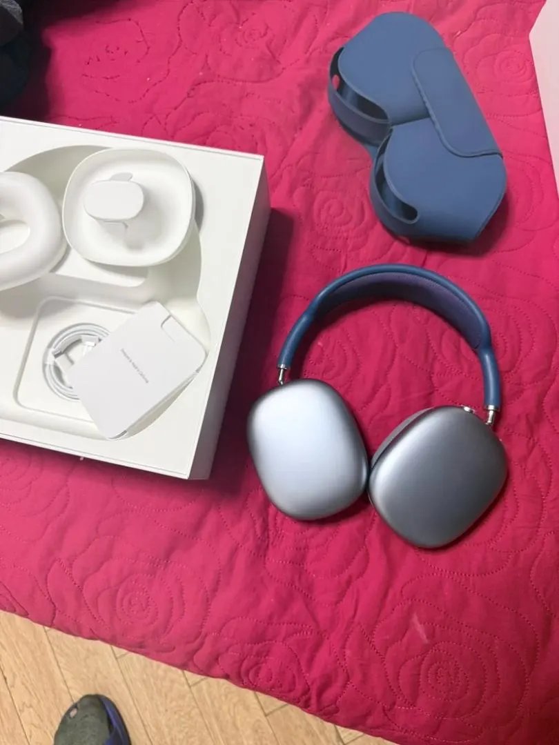 LitBuys Headphones