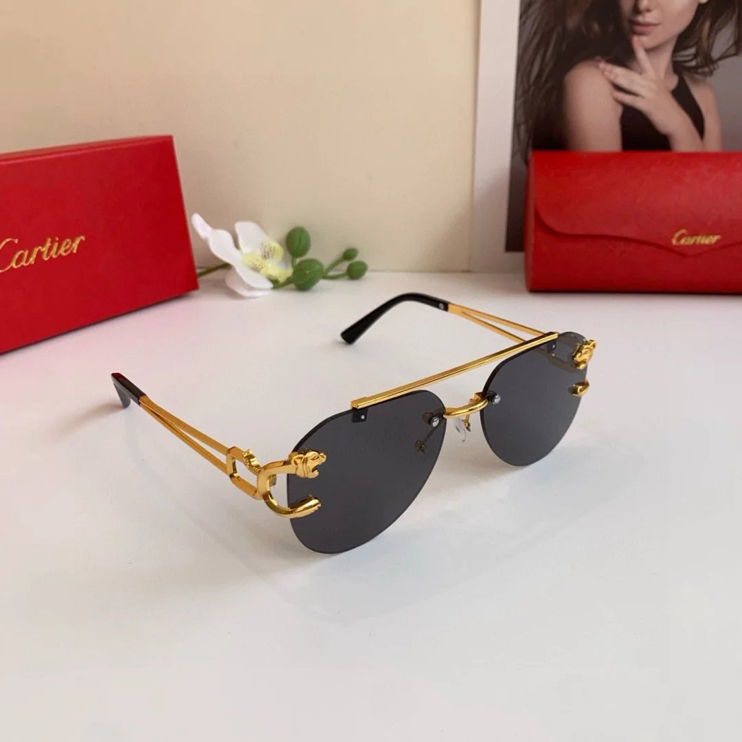 LitBuys Sunglasses