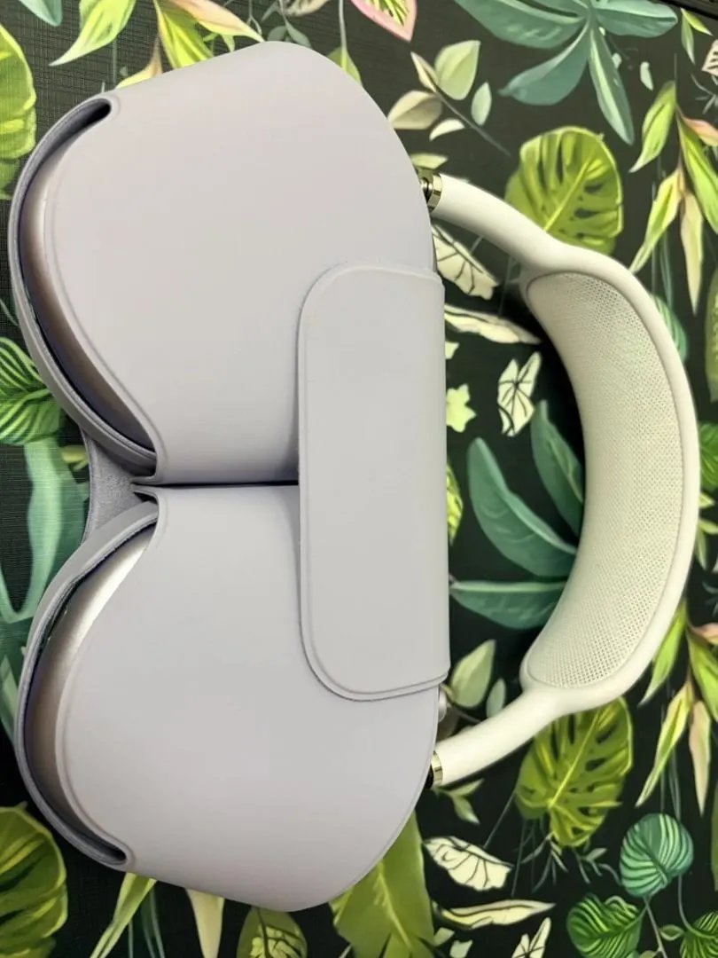 LitBuys Headphones