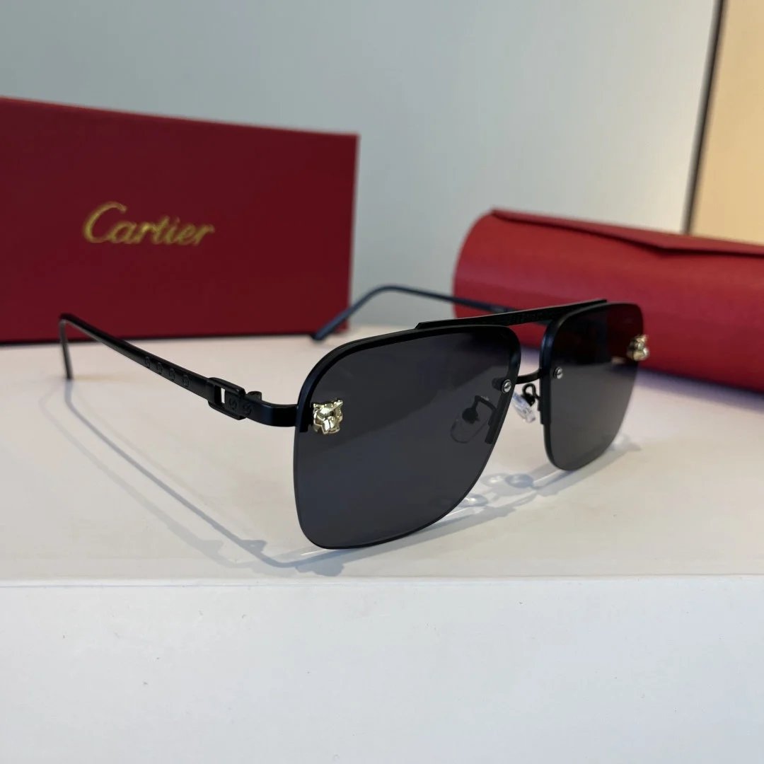 LitBuys Sunglasses