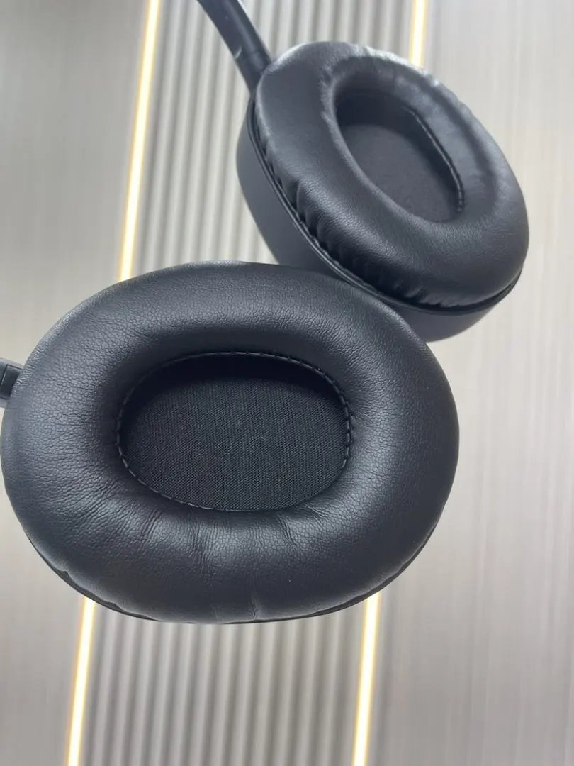 LitBuys Headphones