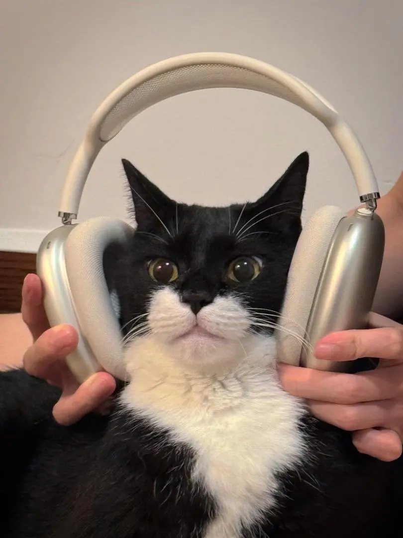 LitBuys Headphones