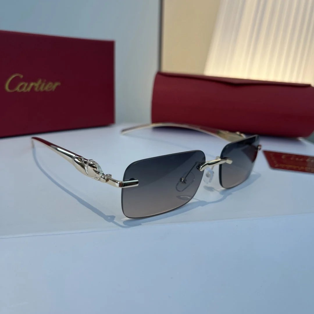 LitBuys Sunglasses