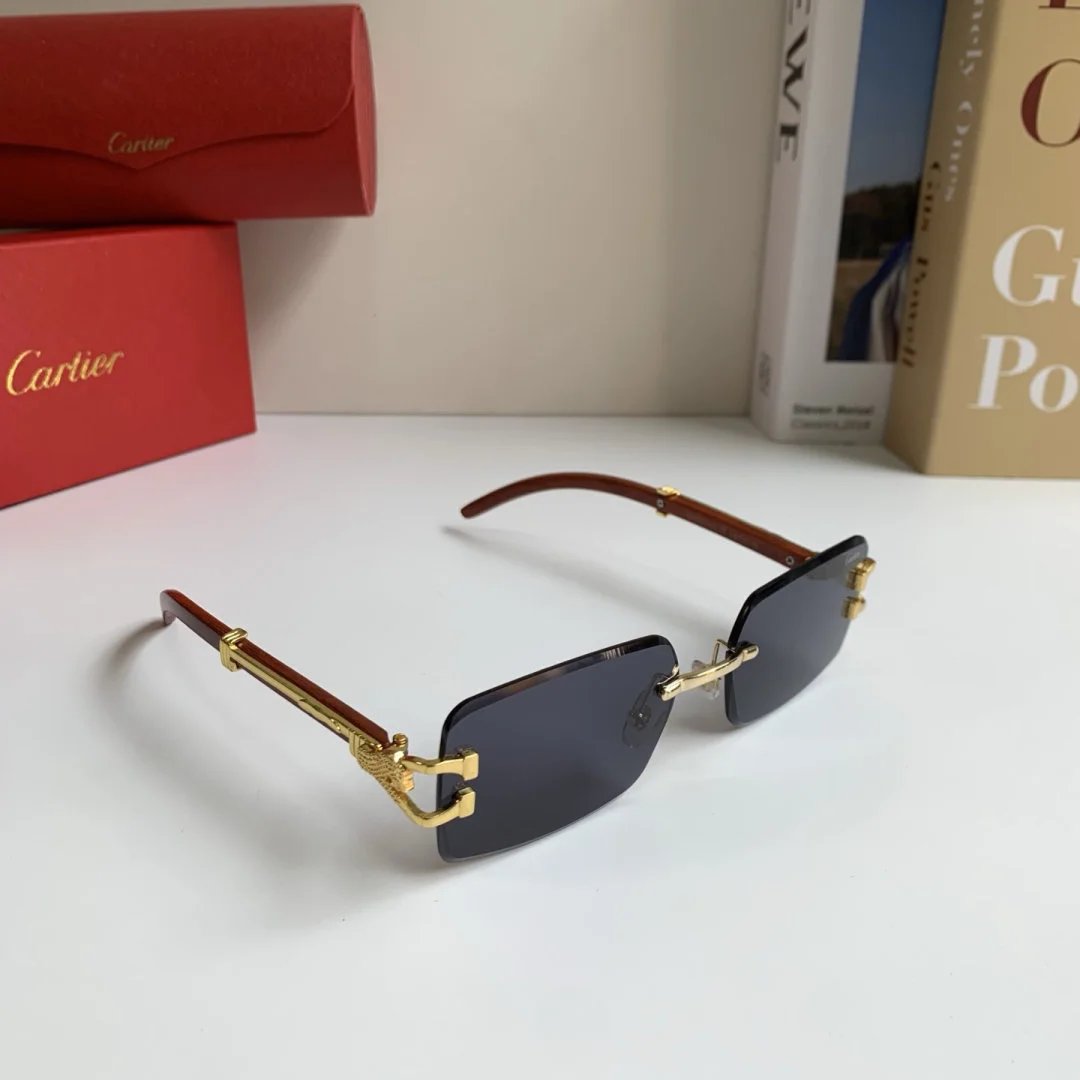 LitBuys Sunglasses