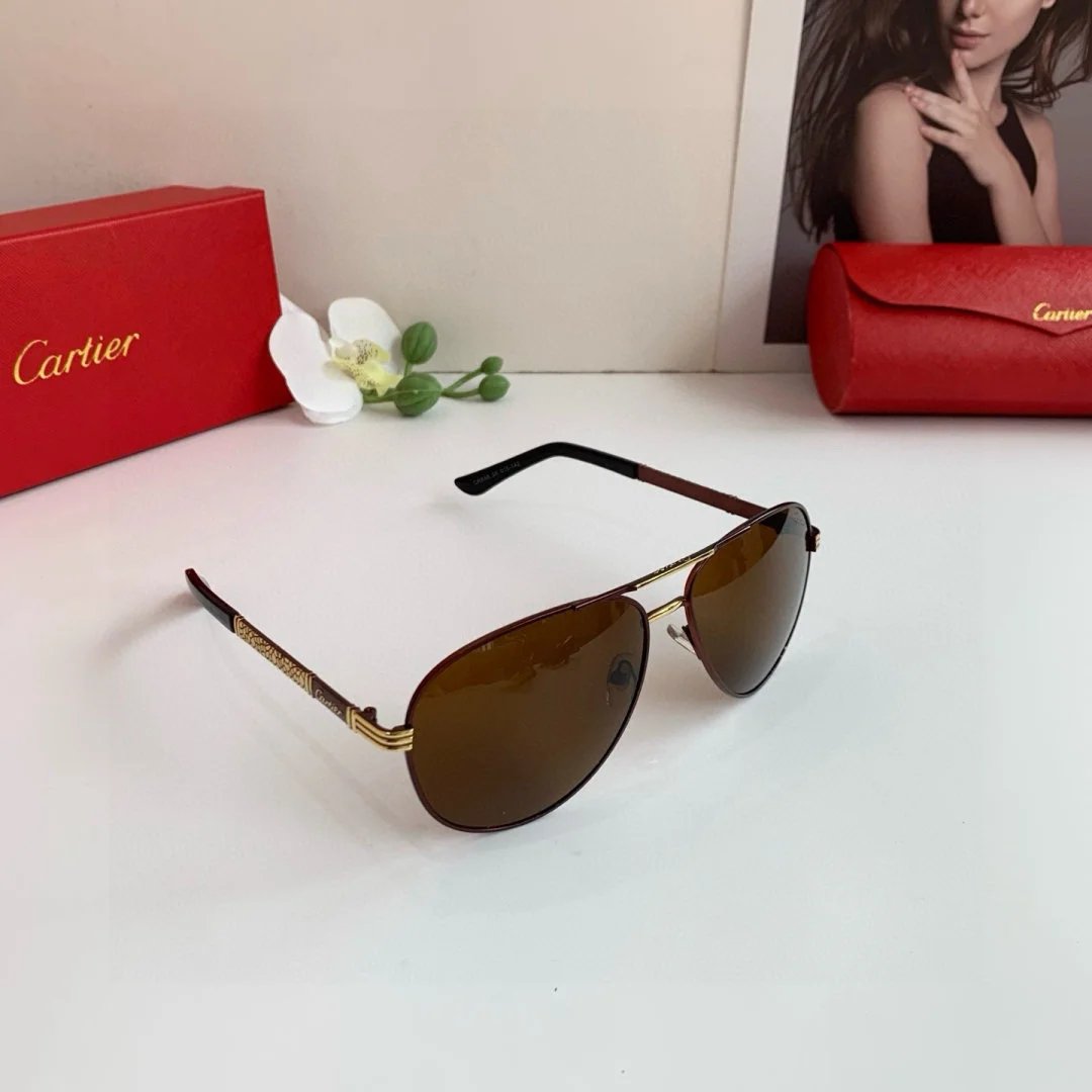 LitBuys Sunglasses