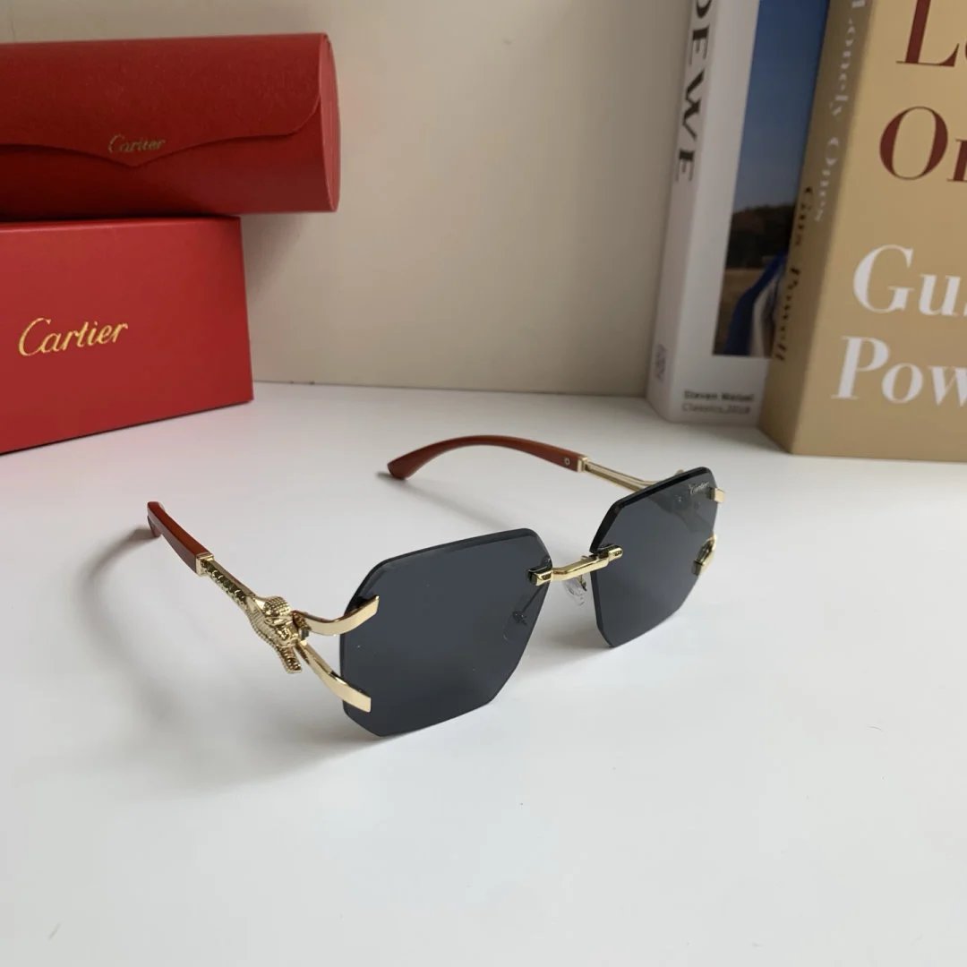 LitBuys Sunglasses