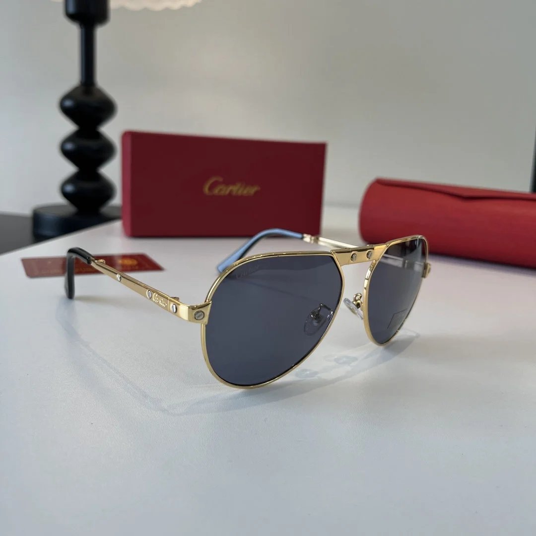 LitBuys Sunglasses
