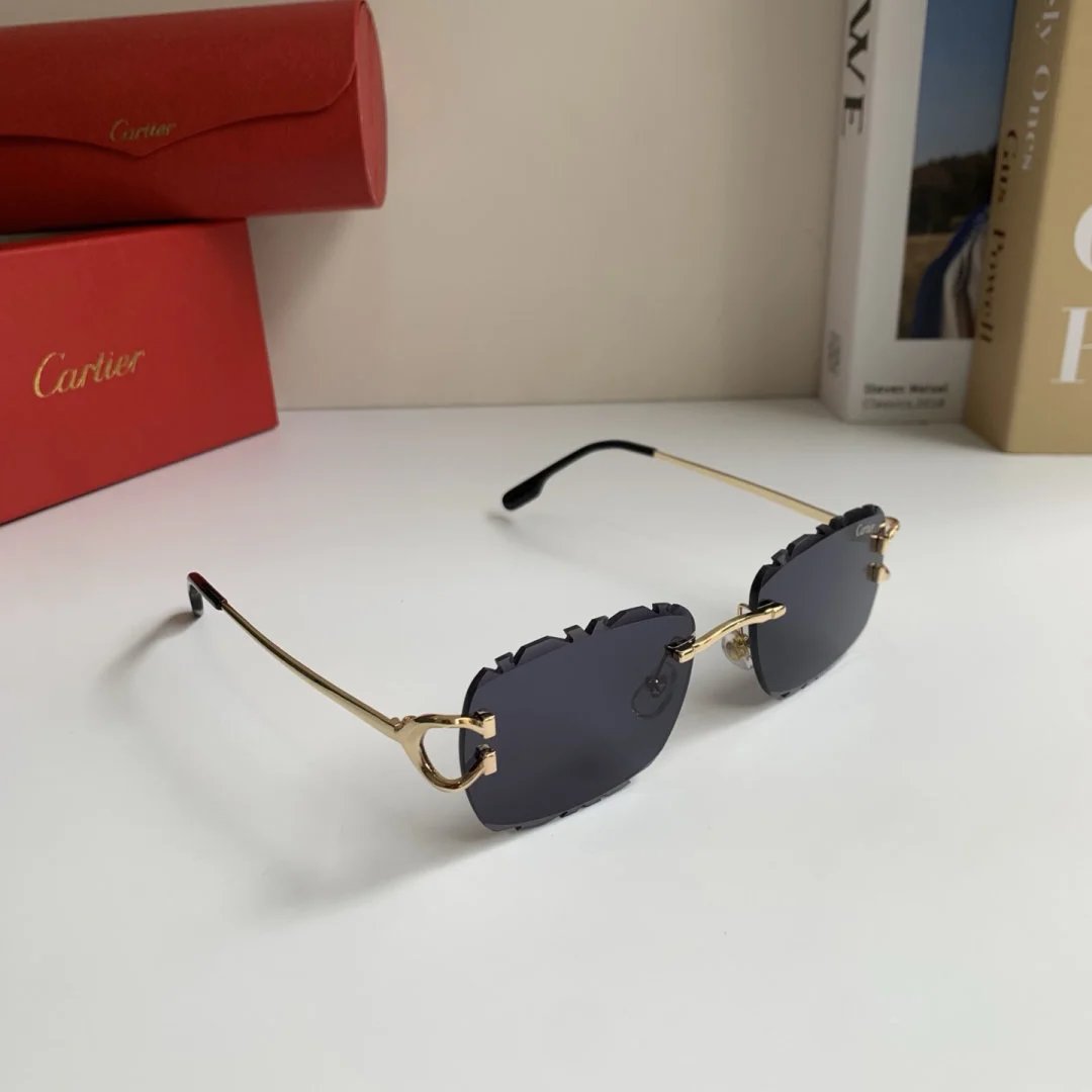 LitBuys Sunglasses