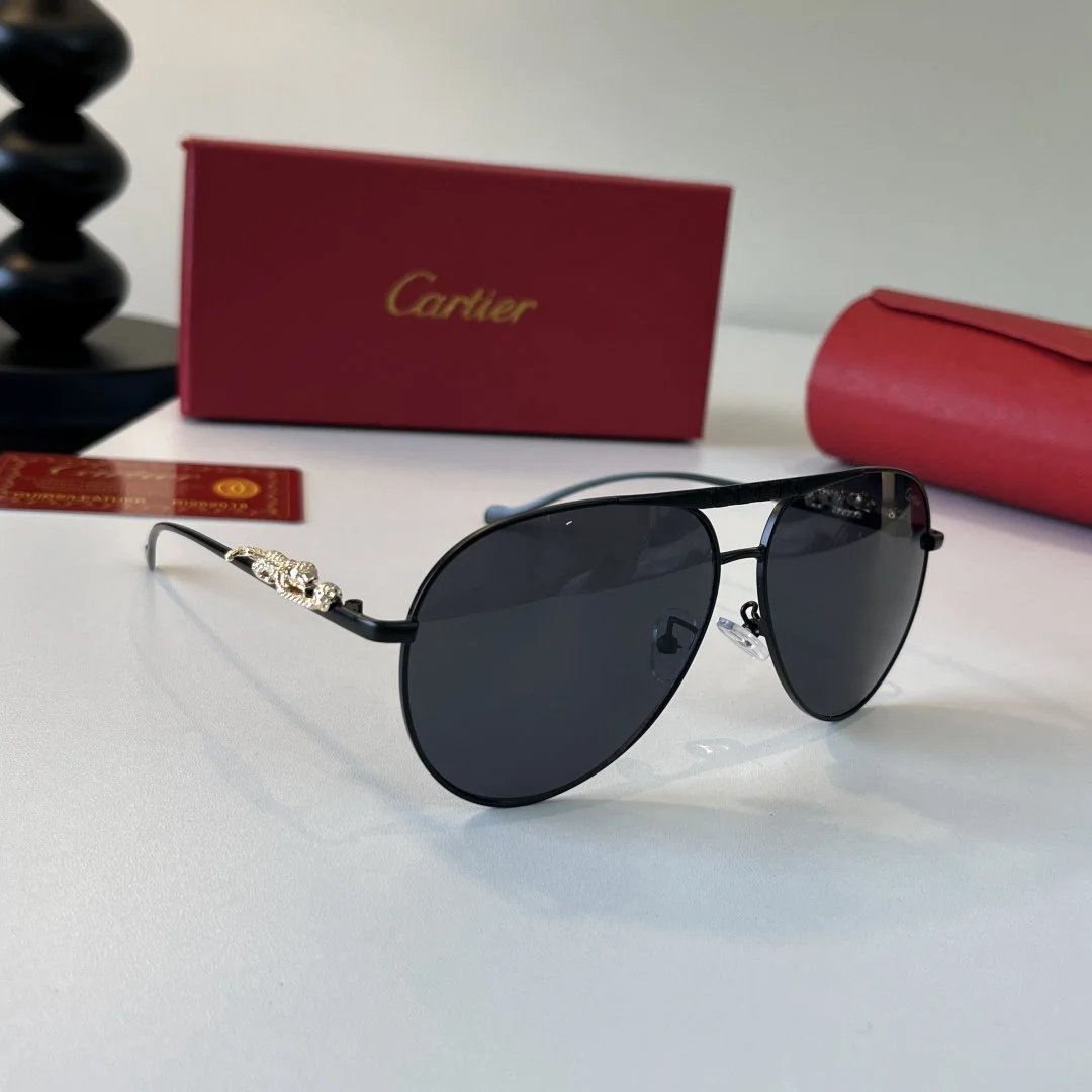LitBuys Sunglasses