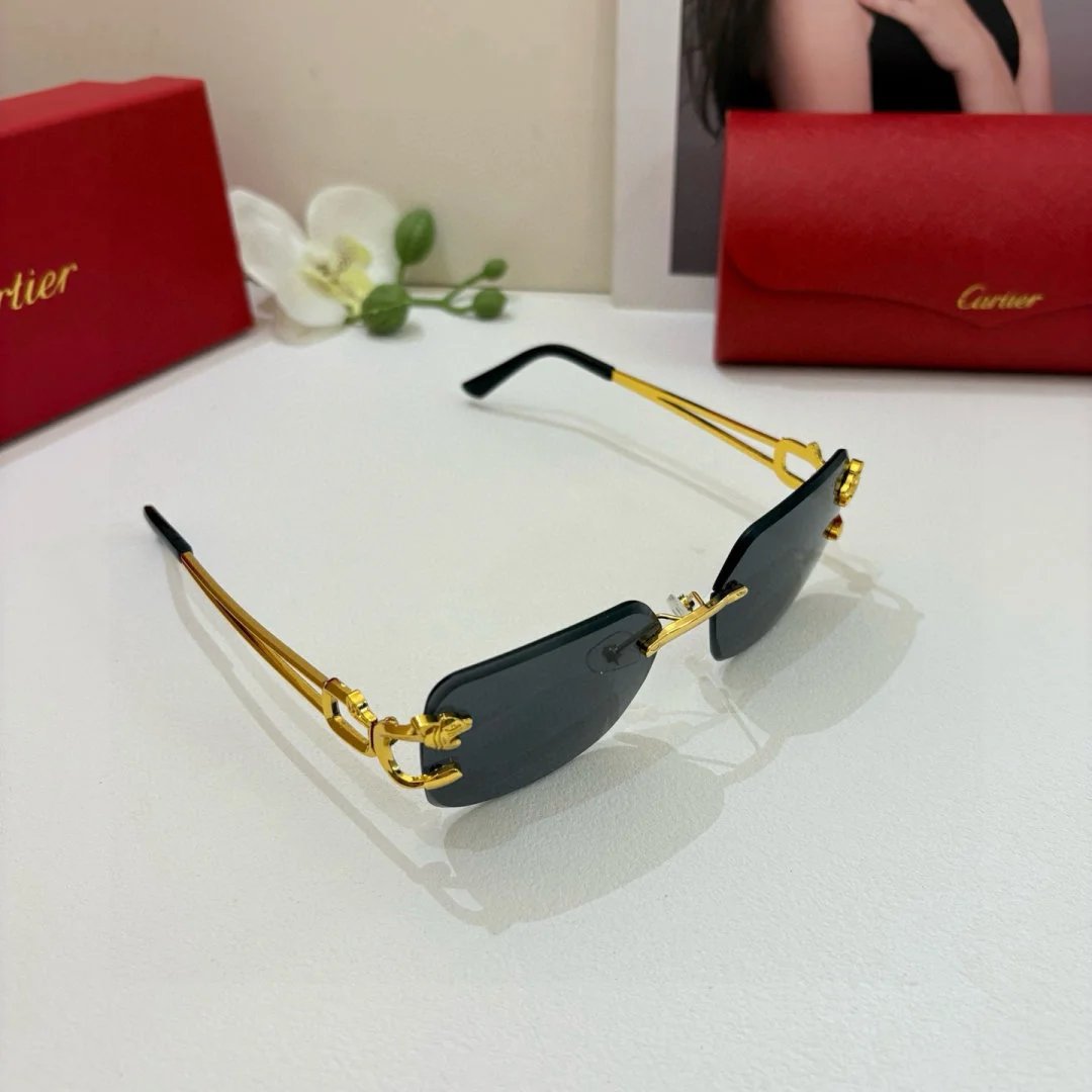 LitBuys Sunglasses