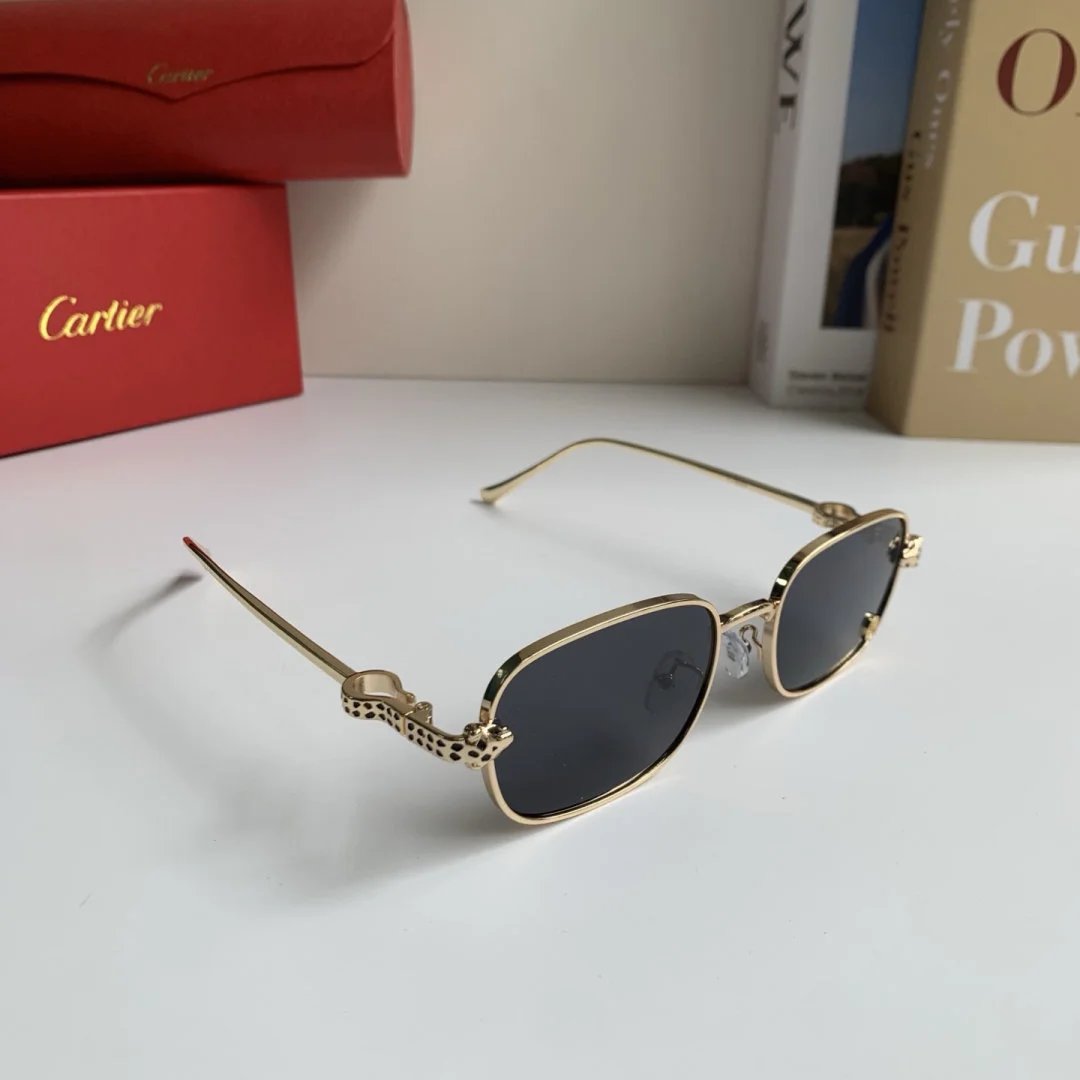 LitBuys Sunglasses