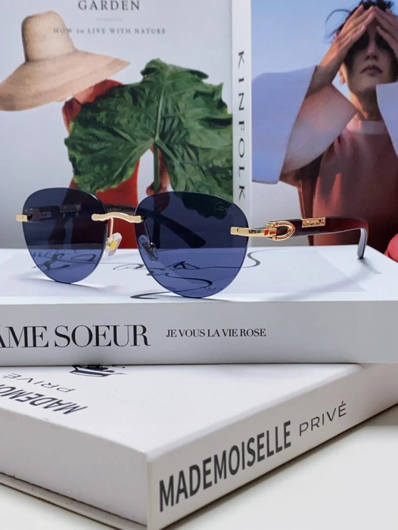 LitBuys Sunglasses