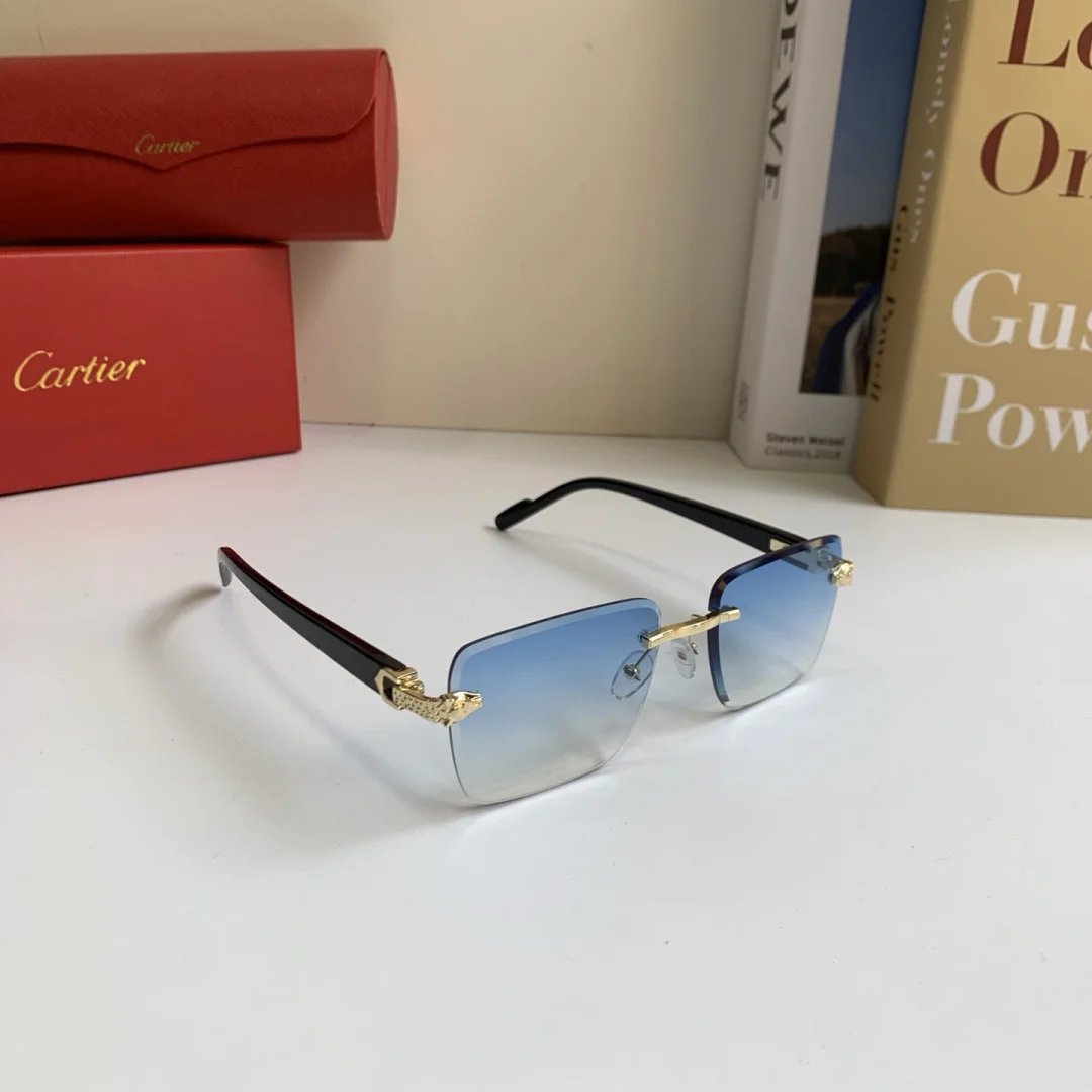 LitBuys Sunglasses