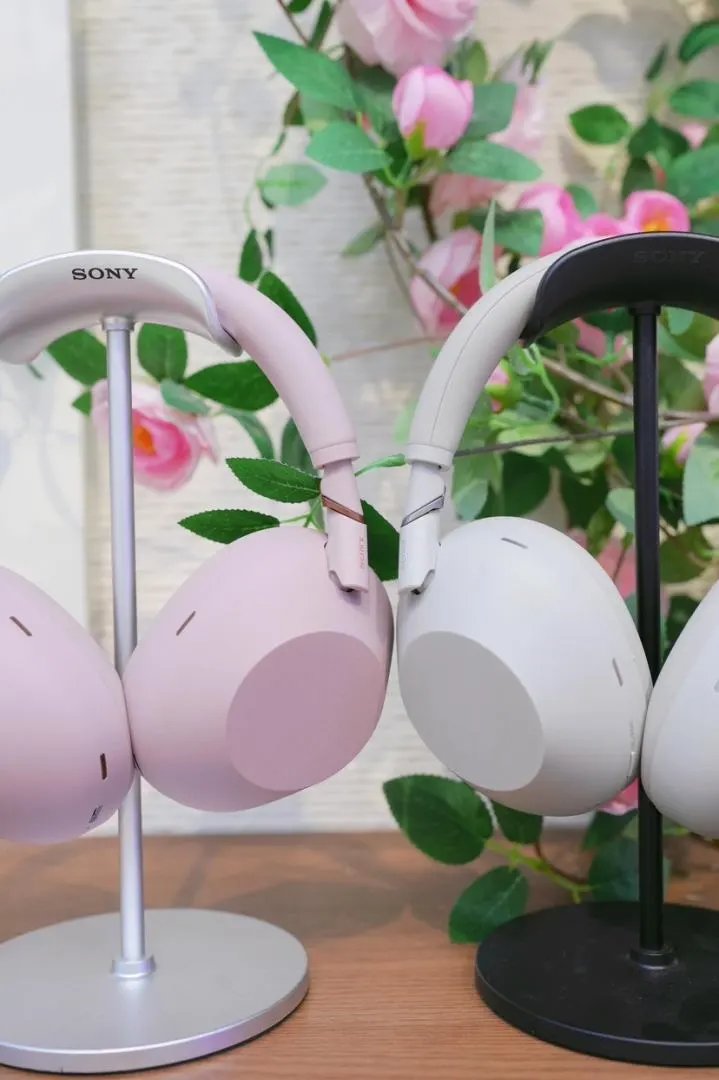 LitBuys Headphones