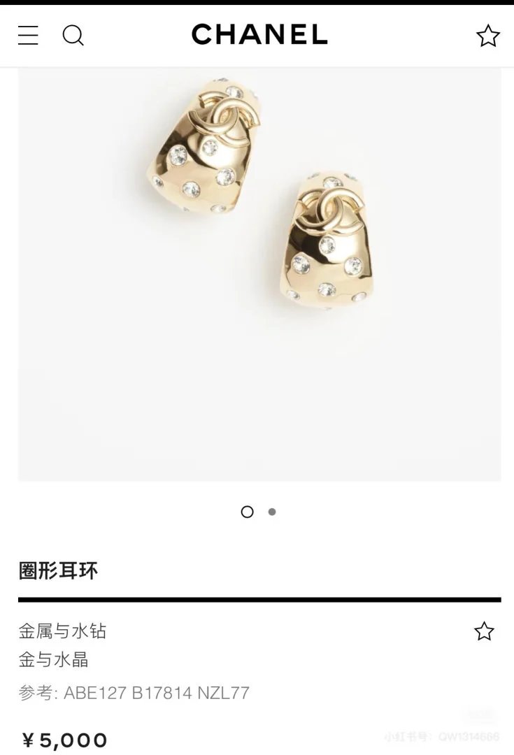 LitBuys Earrings