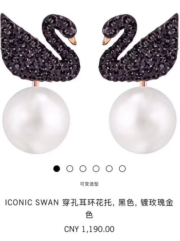 LitBuys Earrings
