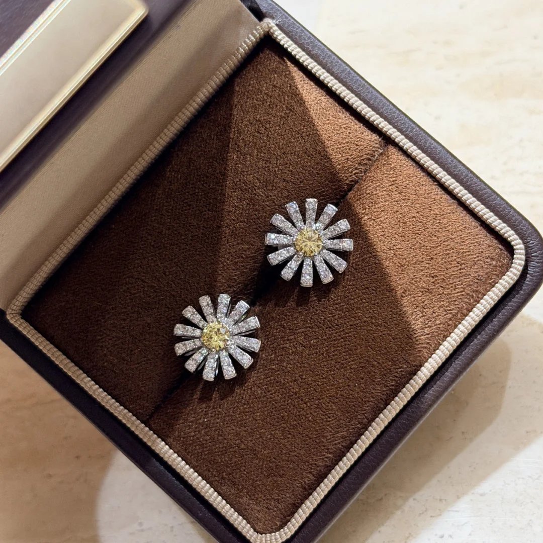 LitBuys Earrings