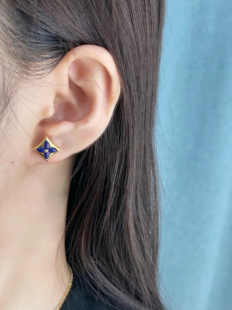 LitBuys Earrings