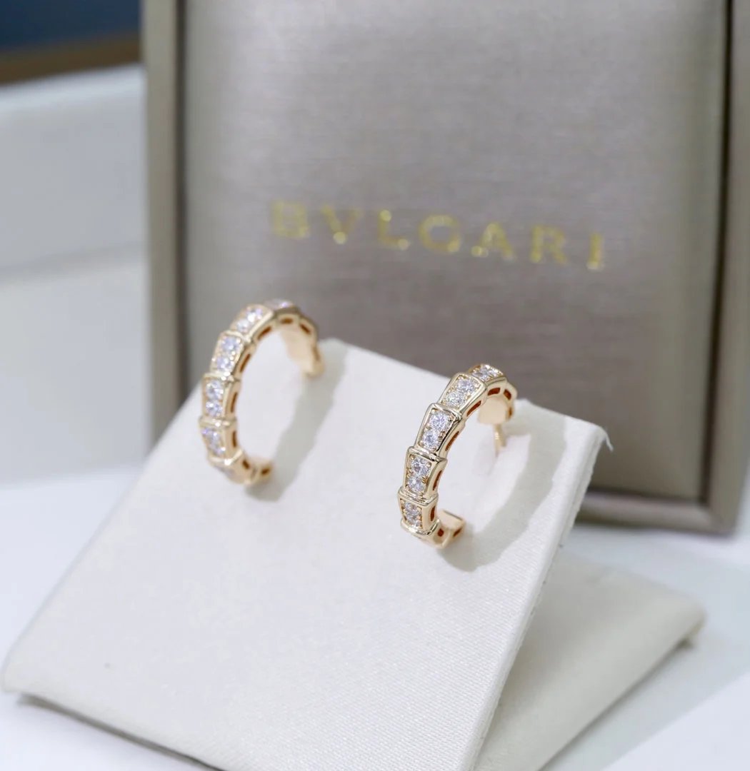 LitBuys Earrings
