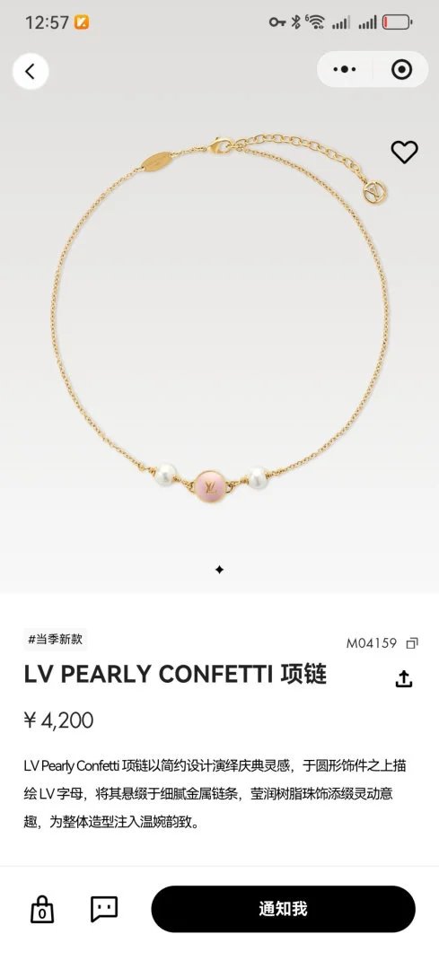 LitBuys Necklace