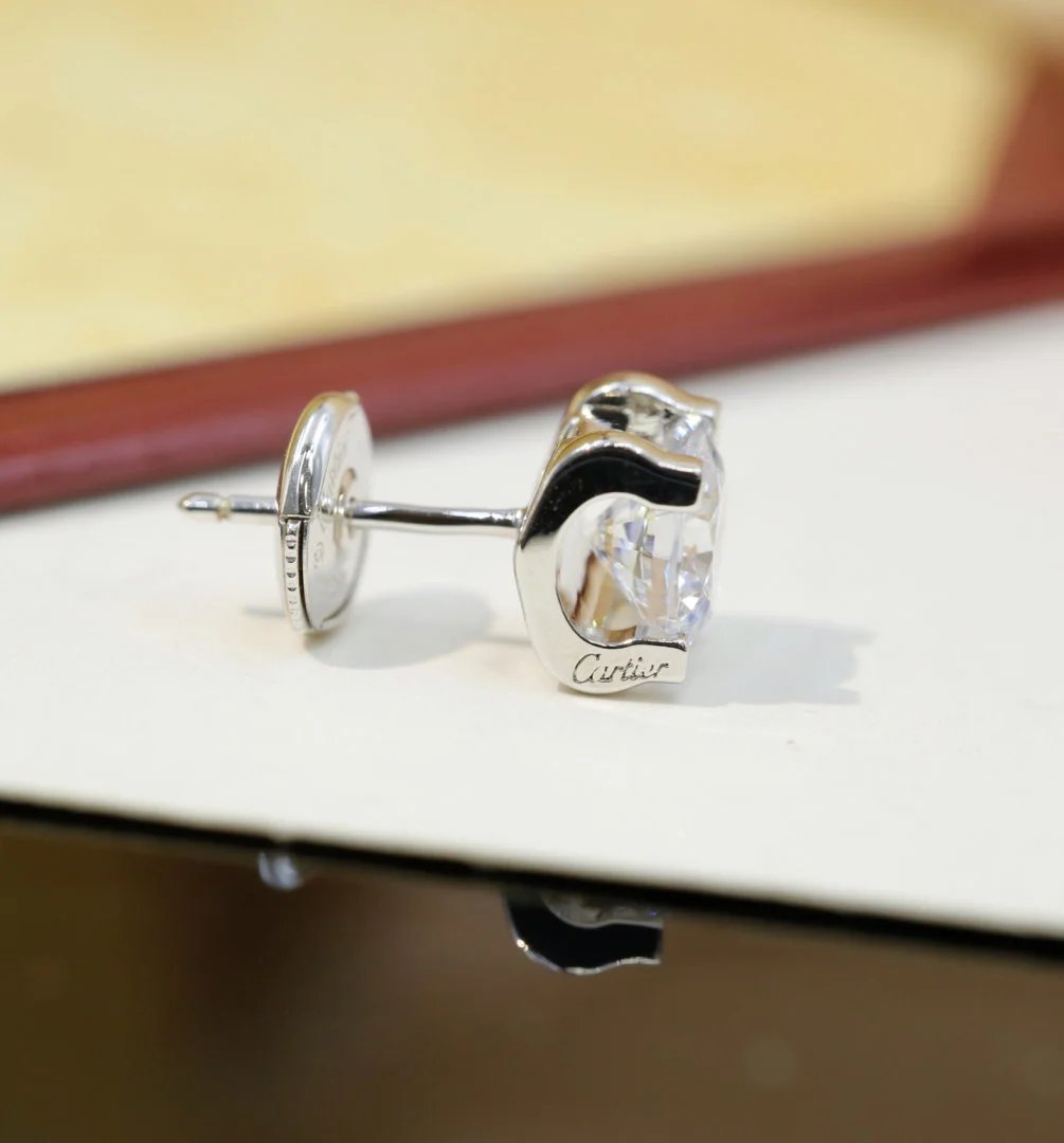 LitBuys Earrings