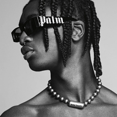 PalmPulse
