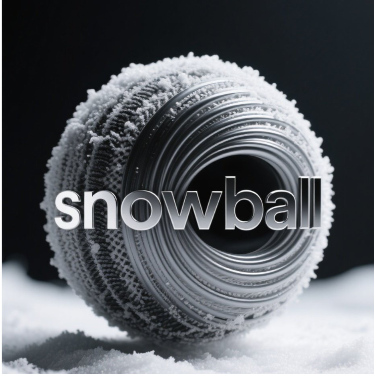 snowball shop