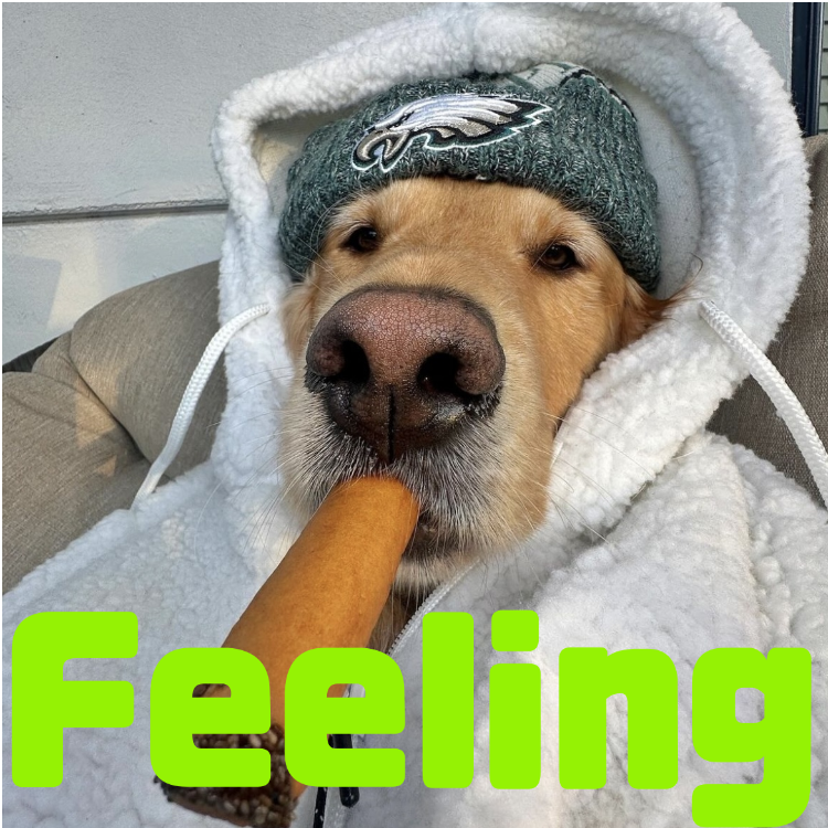 Feeling