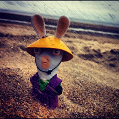 DripRabbit