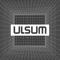 ULSUM STORE(The only store)