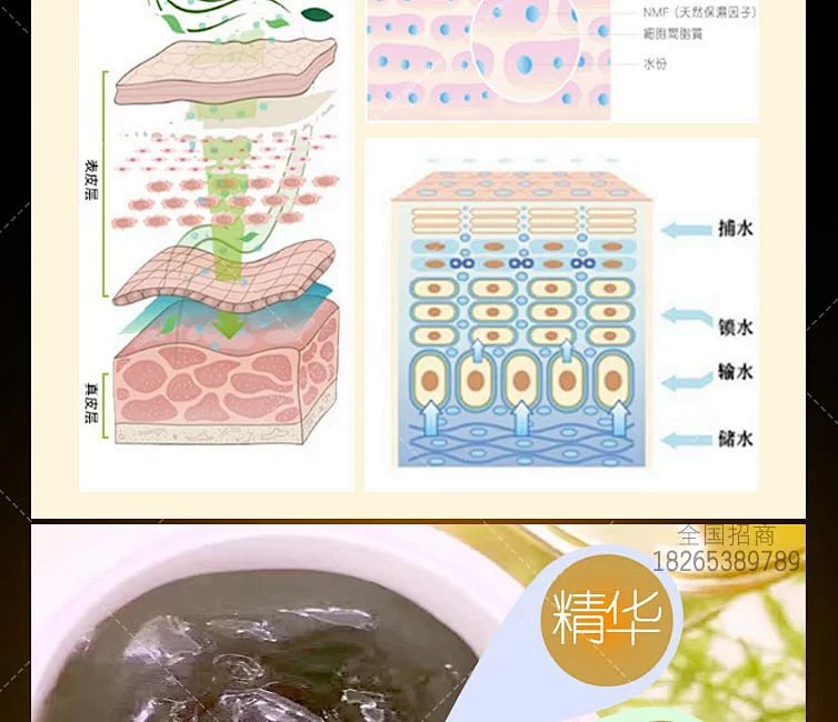 多肽墨藻精華霜|瑪姿寶 — 美妝系列產品-廣州瑪姿寶生物科技有限公司