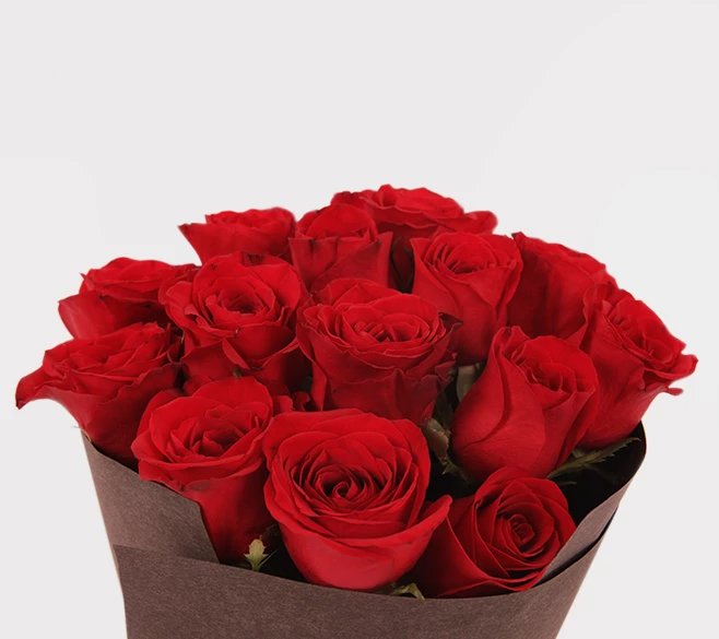 唯爱永恒进口经典红玫瑰