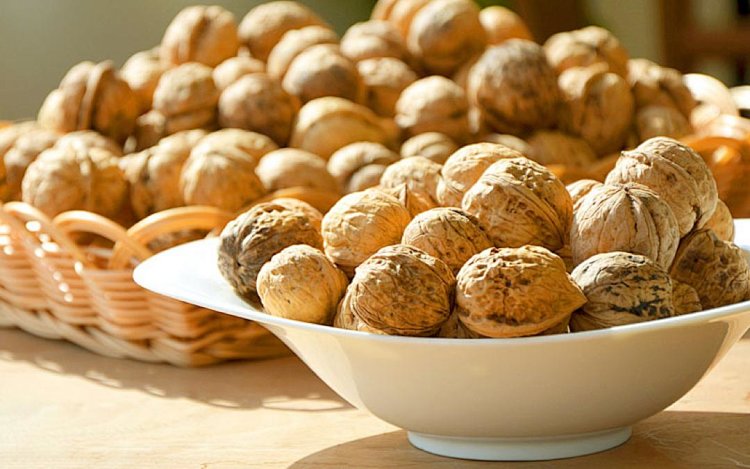 What Is A 243 Good For