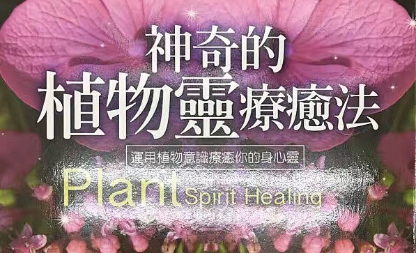 神奇的植物灵疗愈法 运用植物意识疗愈你的身心灵 神奇的植物灵疗愈法 运用植物意识疗愈你的身心灵
