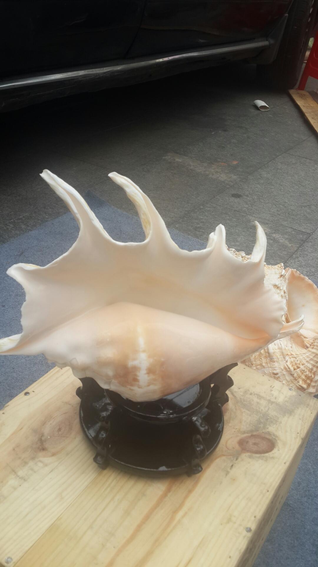 造型奇特的笔架螺