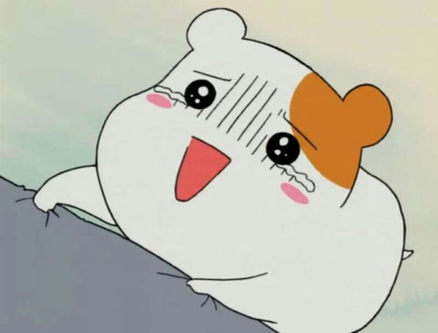 (可包月,价格详谈)