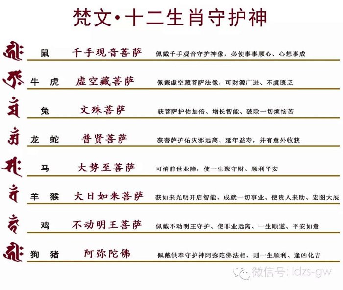 灵丹独家 16版守护神全新上市 灵丹独家 16版守护神全新上市